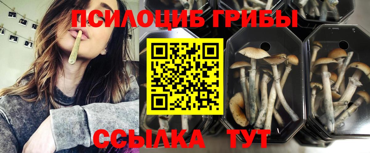 Псилоцибиновые грибы ЛСД Рузаевка