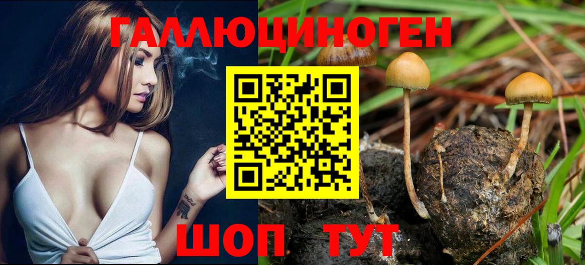 Галлюциногенные грибы GOLDEN TEACHER  Вход с VPN  Рузаевка  Псилоцибиновые грибы GOLDEN TEACHER 